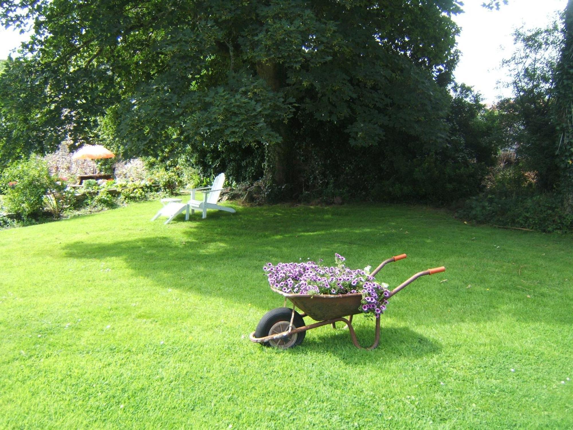 Faythe Guesthouse Wexford Exterior foto